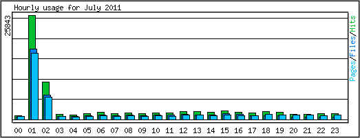 Hourly usage