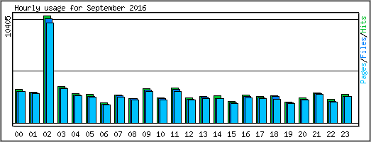 Hourly usage