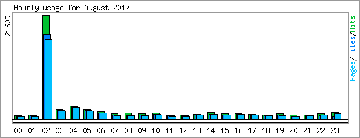 Hourly usage