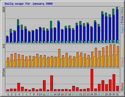 Daily usage for January 2008