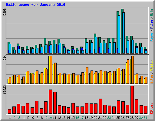 Daily usage for January 2010