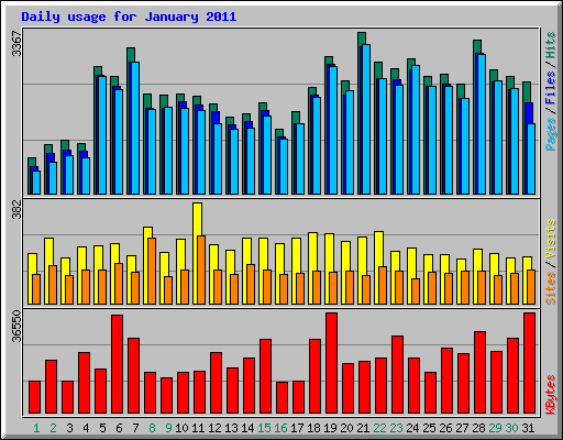 Daily usage for January 2011