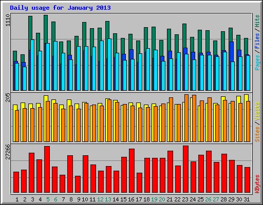 Daily usage for January 2013