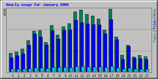 Hourly usage for January 2008