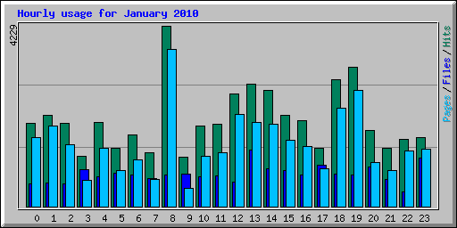 Hourly usage for January 2010