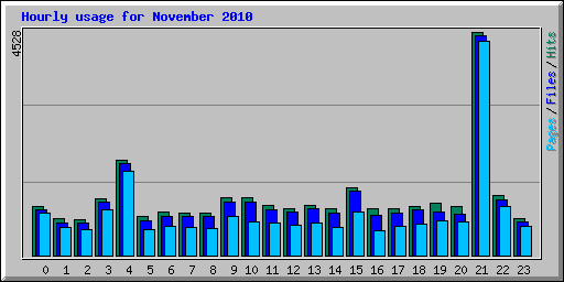 Hourly usage for November 2010