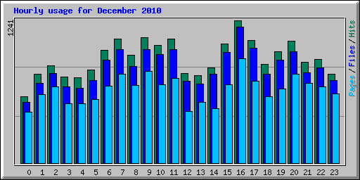 Hourly usage for December 2010