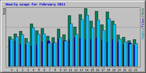 Hourly usage for February 2011