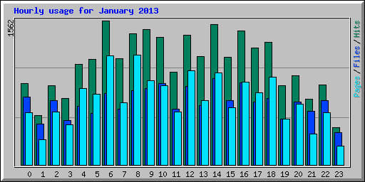 Hourly usage for January 2013