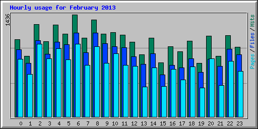 Hourly usage for February 2013