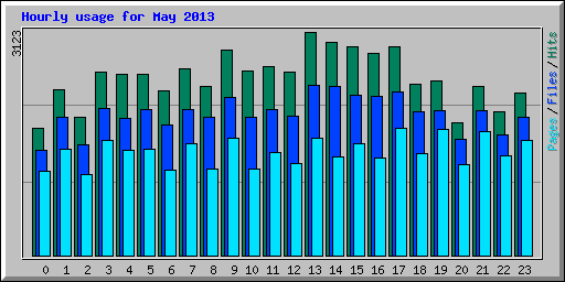 Hourly usage for May 2013