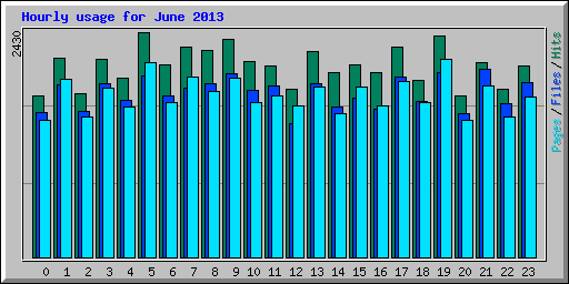 Hourly usage for June 2013