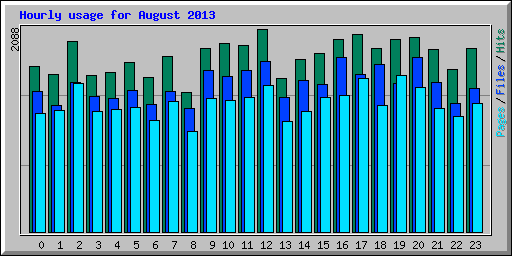 Hourly usage for August 2013