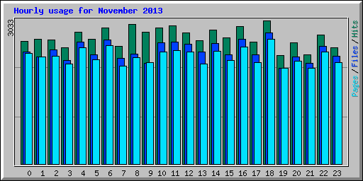 Hourly usage for November 2013