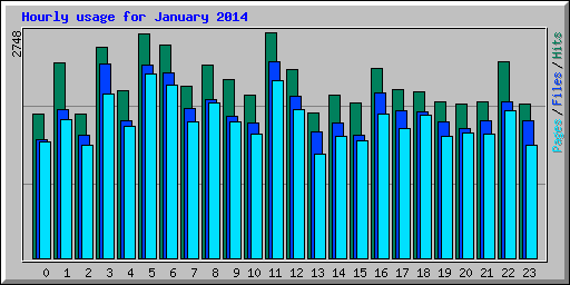 Hourly usage for January 2014