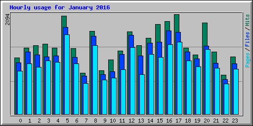 Hourly usage for January 2016