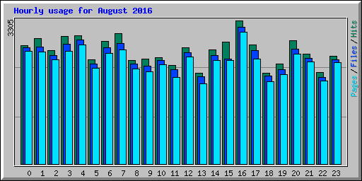 Hourly usage for August 2016