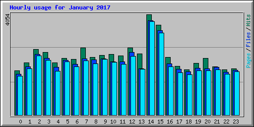 Hourly usage for January 2017