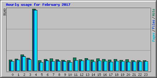 Hourly usage for February 2017